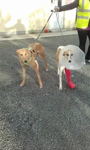 FB IMG 1506021478039