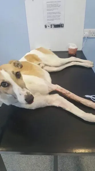 FB IMG 1506021496486