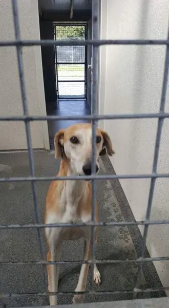 FB IMG 1506022505503