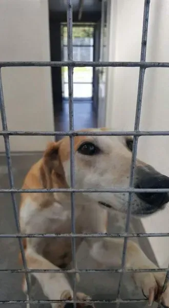 FB IMG 1506022507934