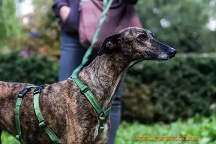 FB IMG 1506073852116