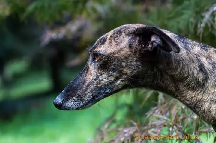 FB IMG 1506073857300