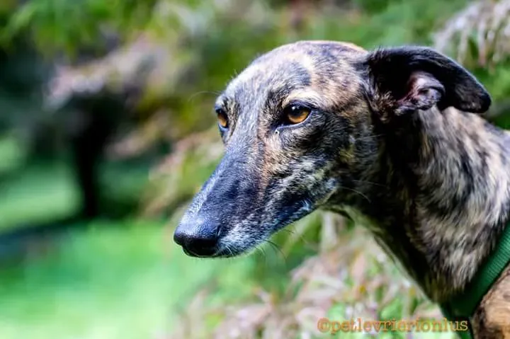 FB IMG 1506073859777