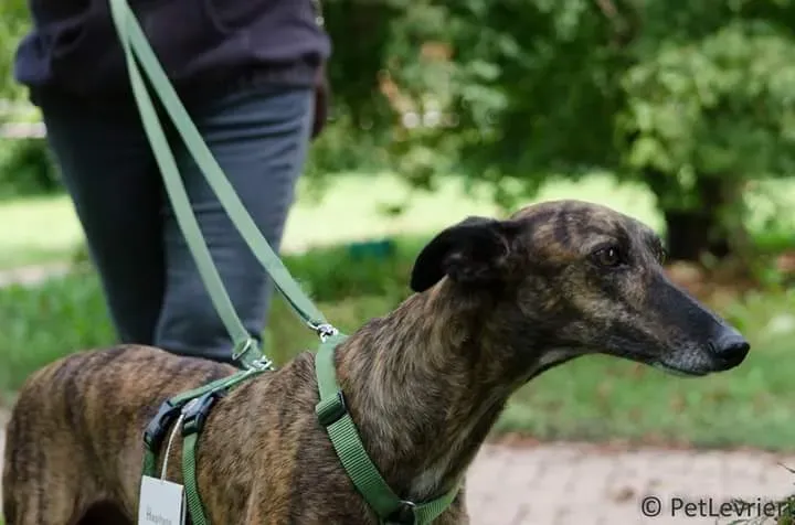 FB IMG 1506073973274