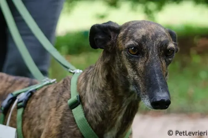 FB IMG 1506073975957