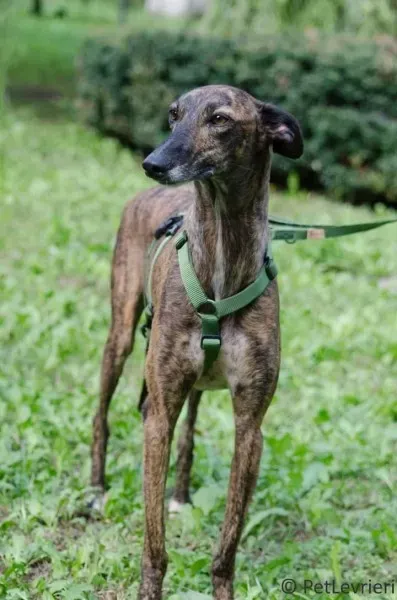 FB IMG 1506073986891