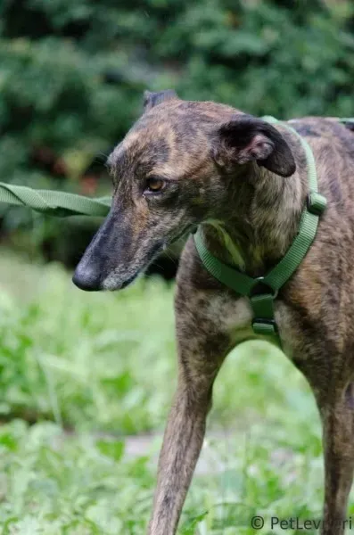 FB IMG 1506073989536