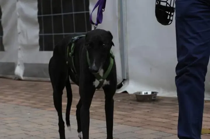 FB IMG 1506856220430