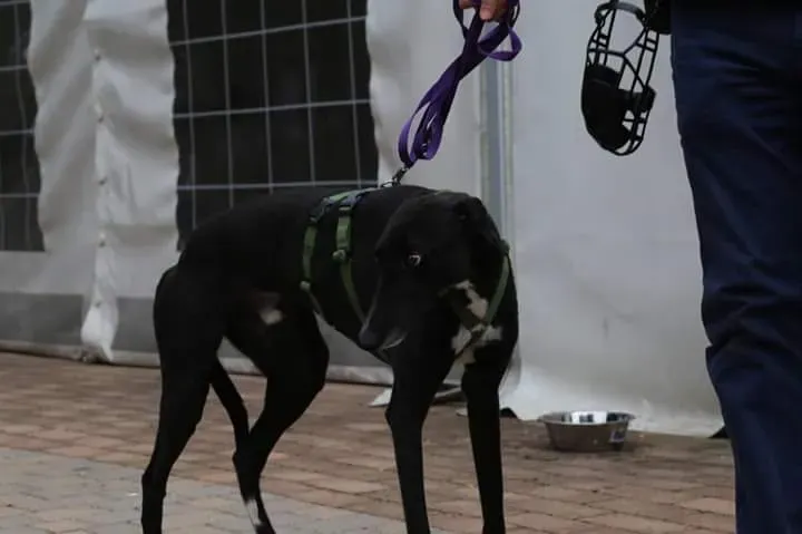 FB IMG 1506856223284