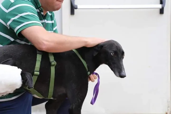 FB IMG 1506856230821