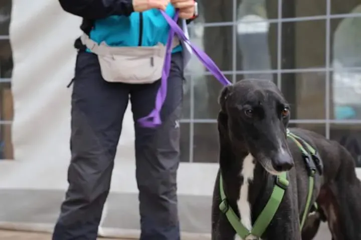 FB IMG 1506856241231