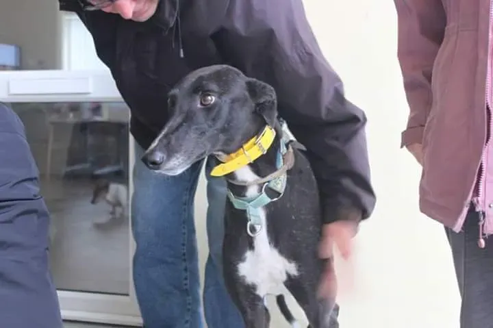 FB IMG 1506856278721