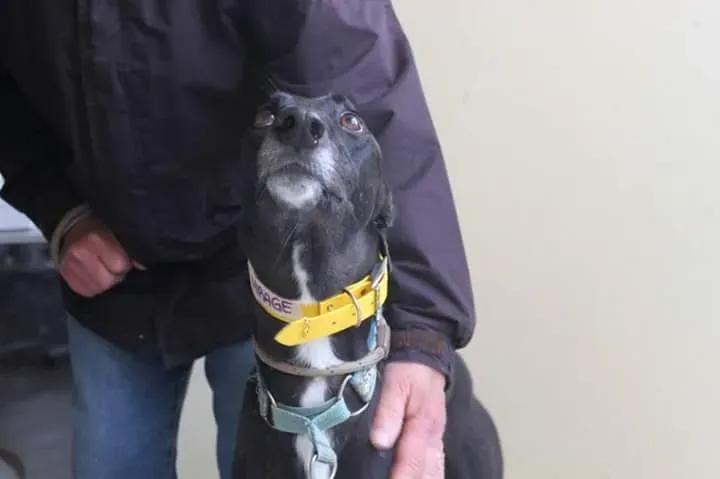 FB IMG 1506856282761