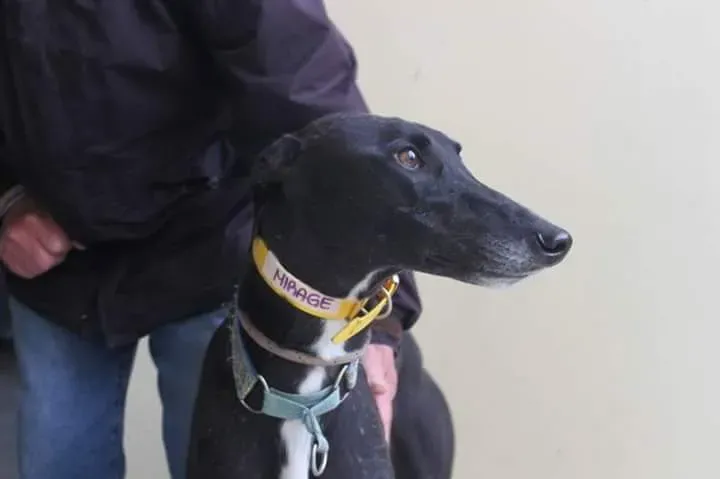 FB IMG 1506856285828