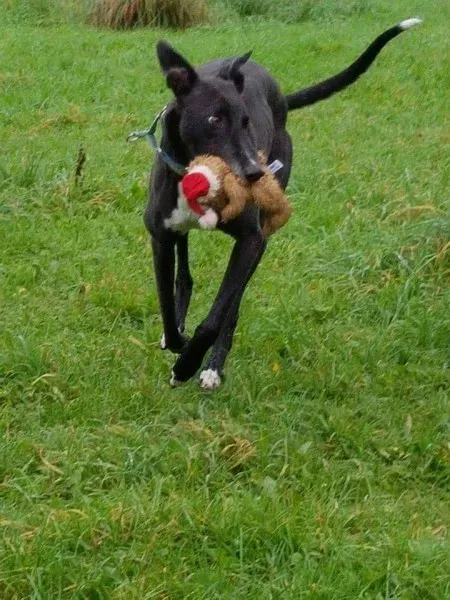 FB IMG 1506887084298