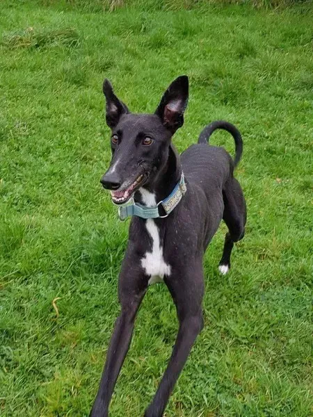 FB IMG 1506887089739