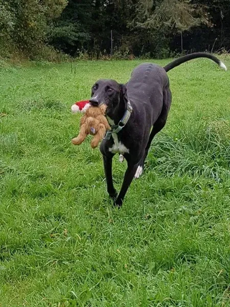 FB IMG 1506887092960