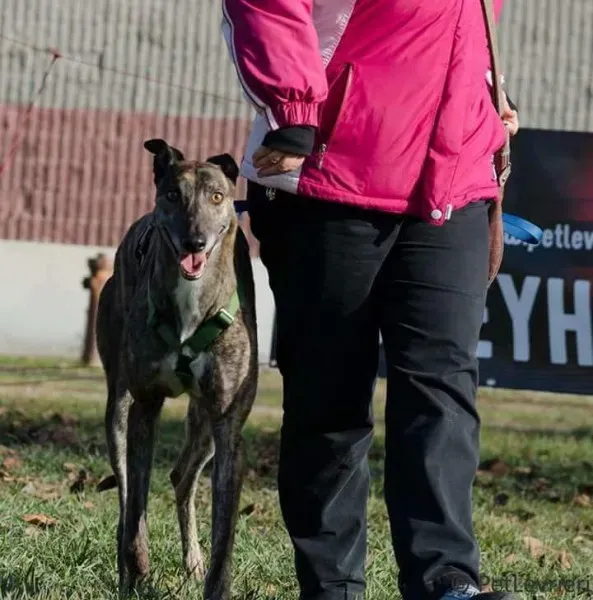 FB IMG 1513704855401