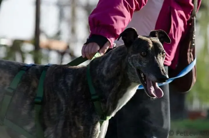 FB IMG 1513704857734