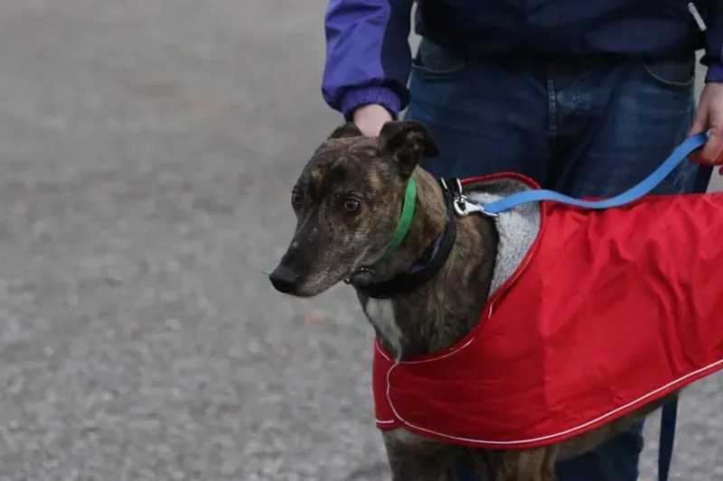 FB IMG 1513717891237