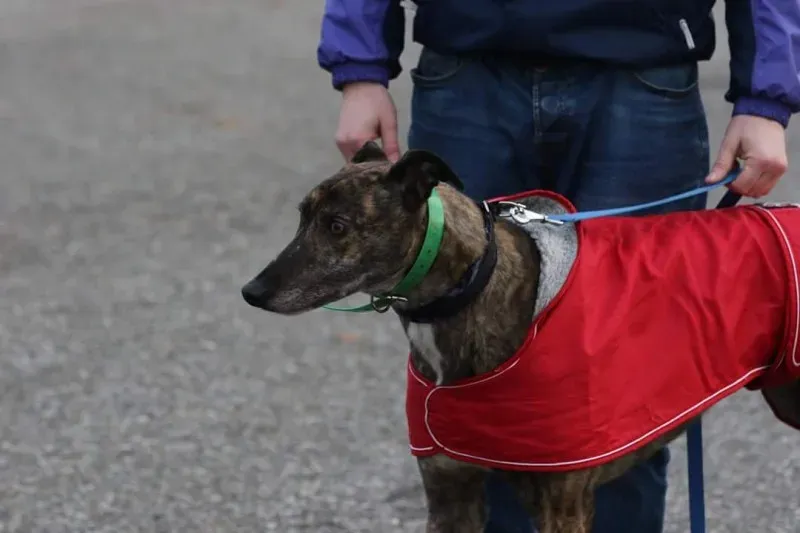 FB IMG 1513717893634