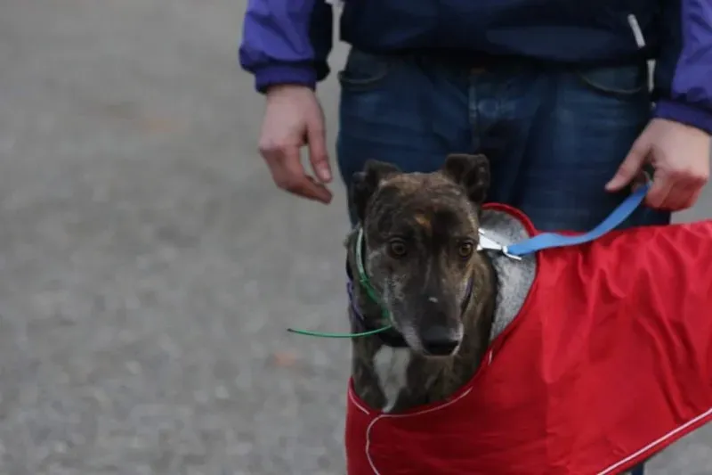 FB IMG 1513717896129