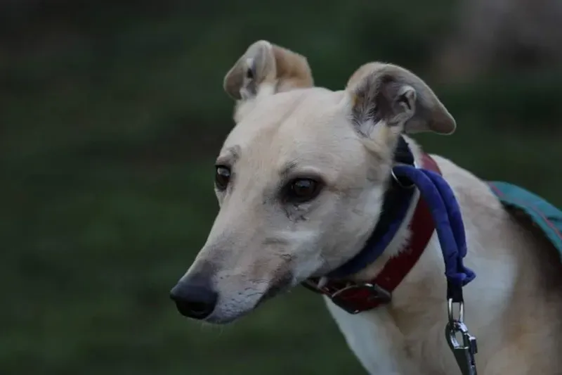 FB IMG 1520697595536