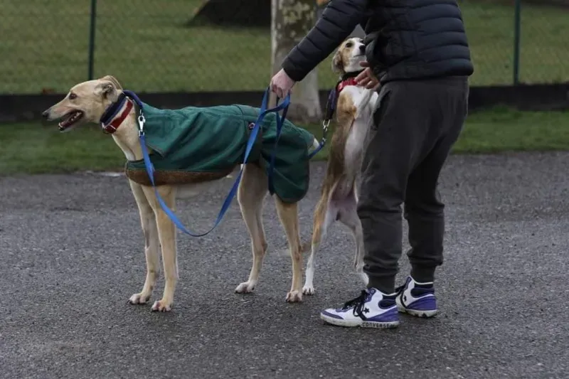 FB IMG 1520697614402