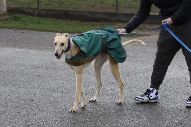 FB IMG 1520697620340