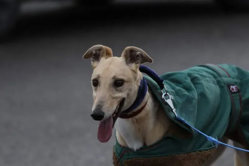 FB IMG 1520697629416