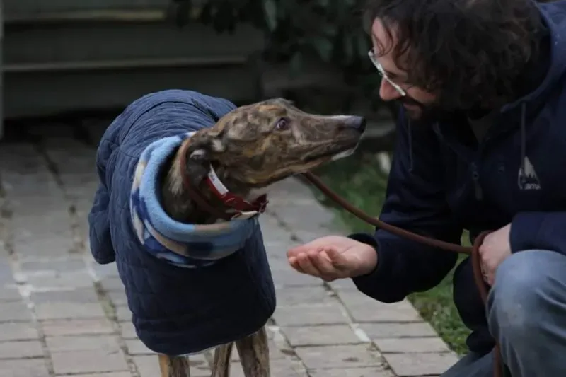 FB IMG 1520697798842