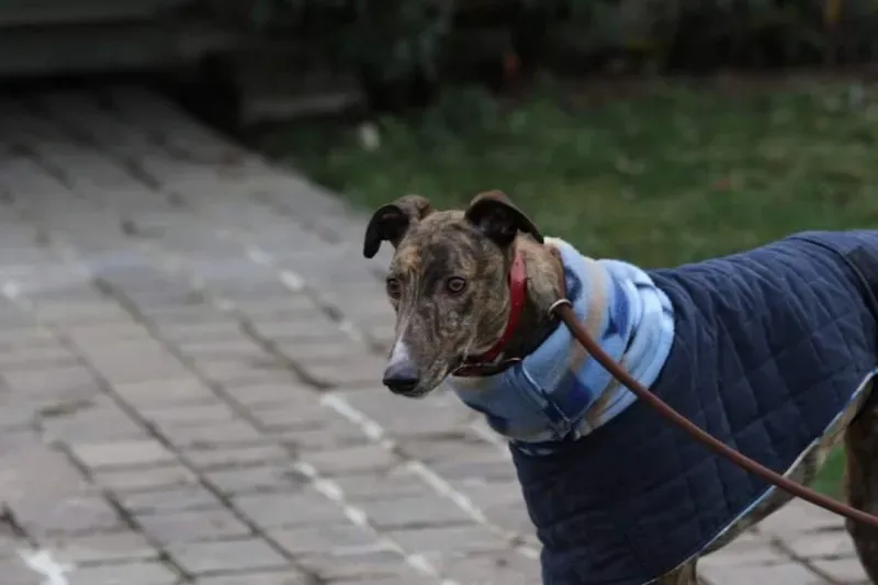 FB IMG 1520697812899