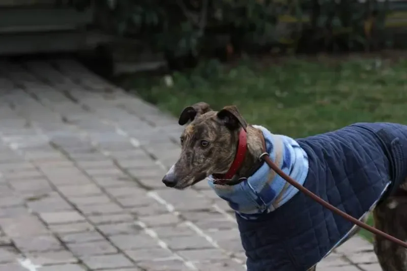 FB IMG 1520697815967