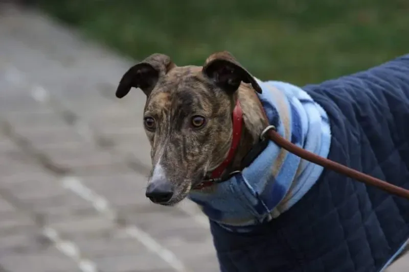 FB IMG 1520697824127