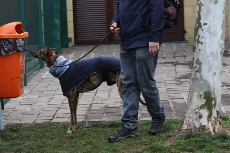 FB IMG 1520697836486