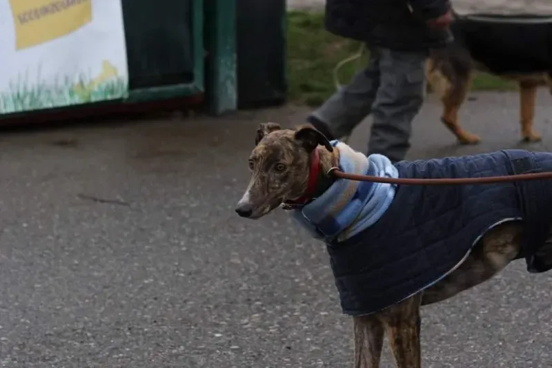 FB IMG 1520697841627