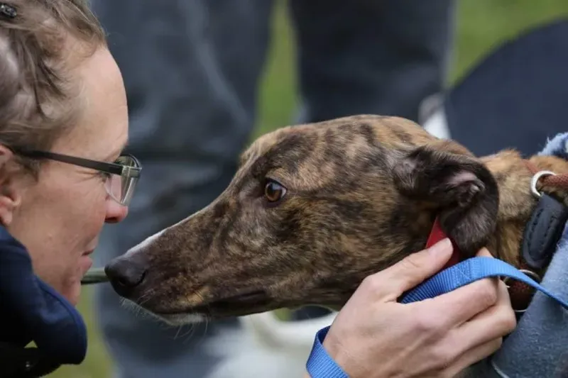 FB IMG 1520697897422