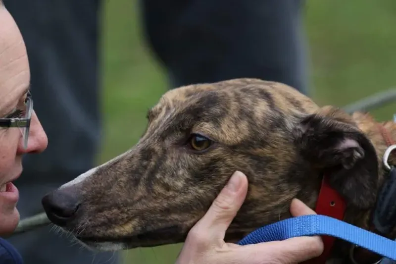 FB IMG 1520697903966