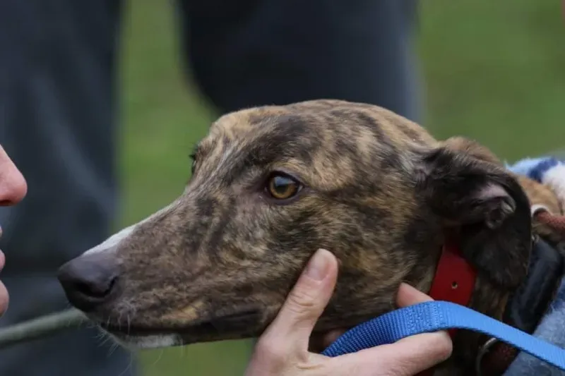 FB IMG 1520697906678 1