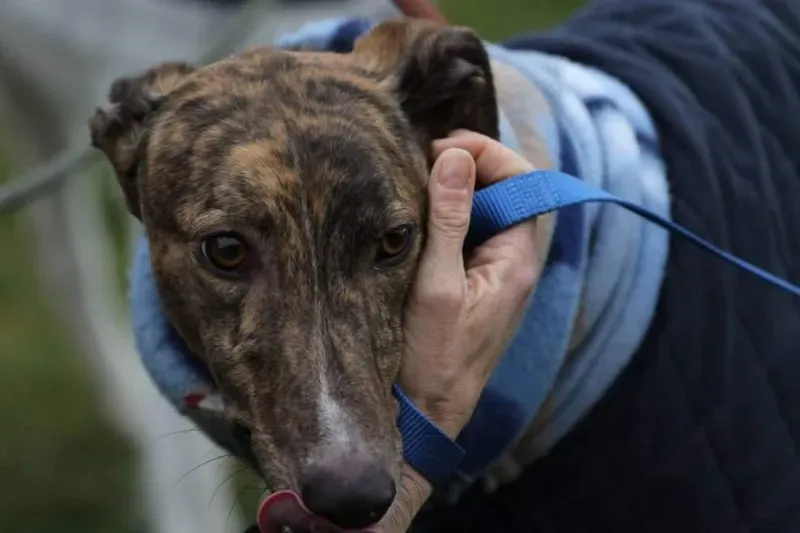 FB IMG 1520697909476