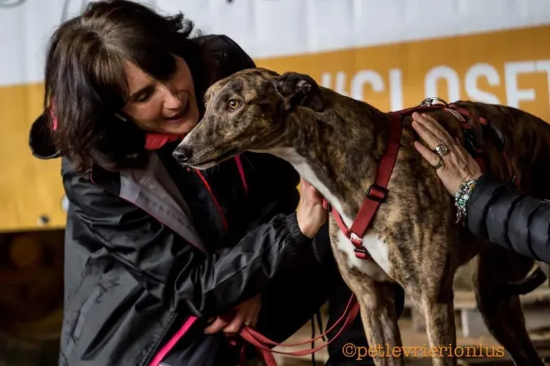 FB IMG 1520919246393