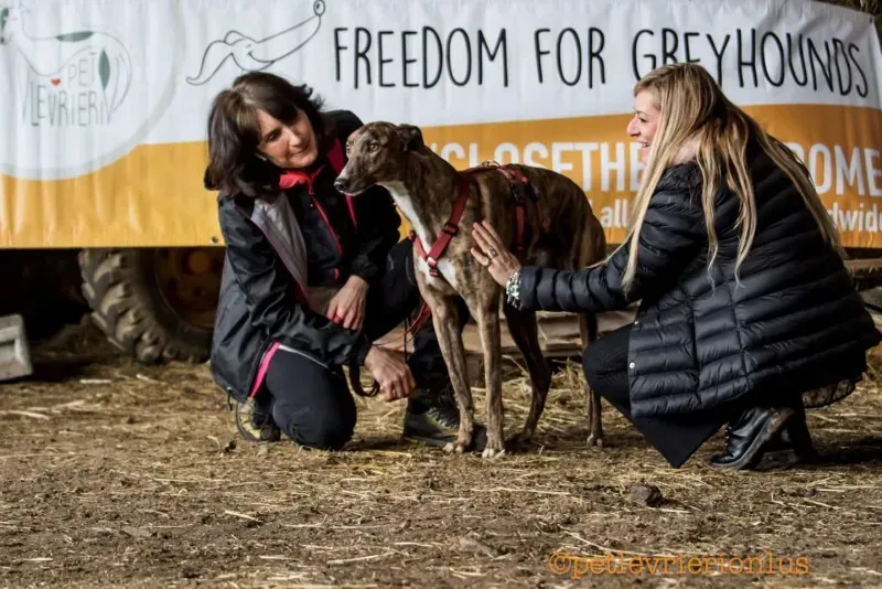 FB IMG 1520919249086 1