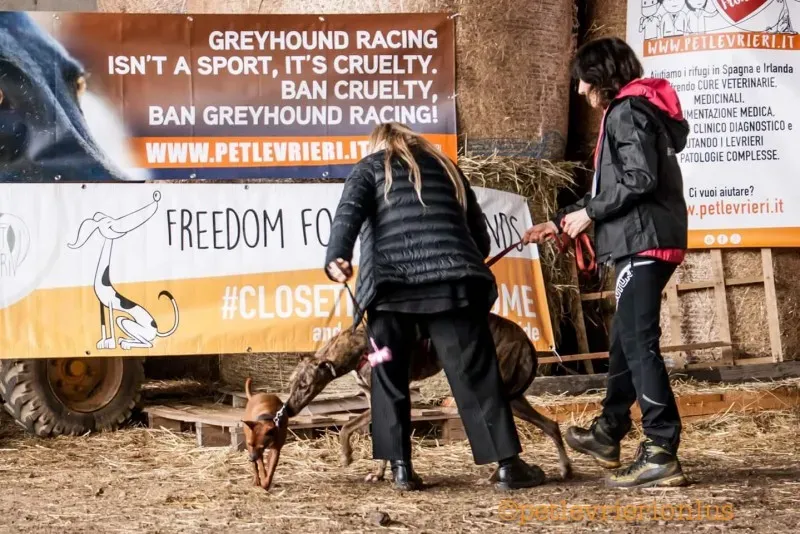 FB IMG 1520919257524