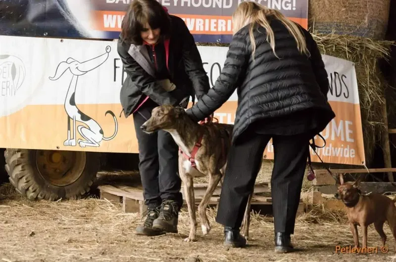 FB IMG 1520919283666