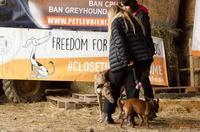 FB IMG 1520919286834