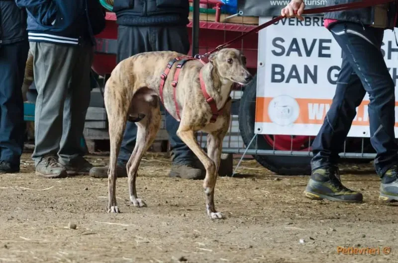 FB IMG 1520919366575