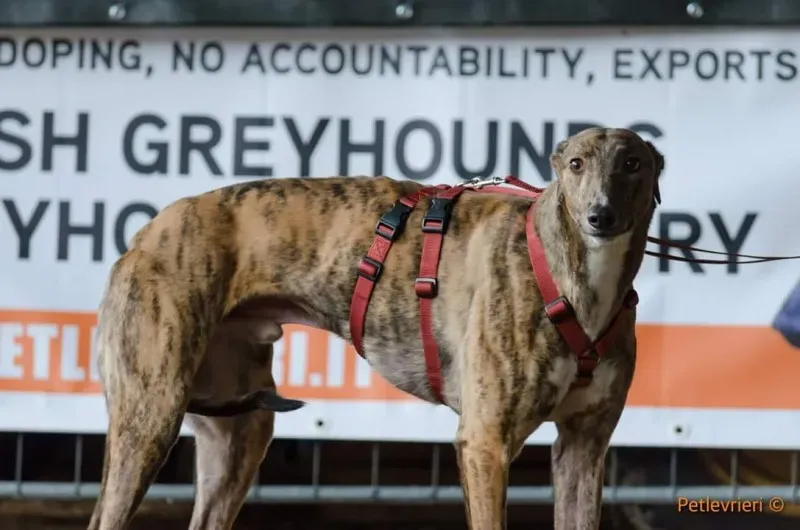 FB IMG 1520919369271