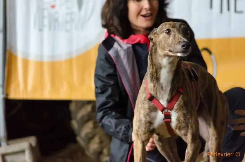 FB IMG 1520919385597