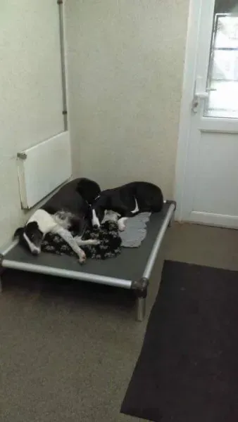 FB IMG 1521363509541