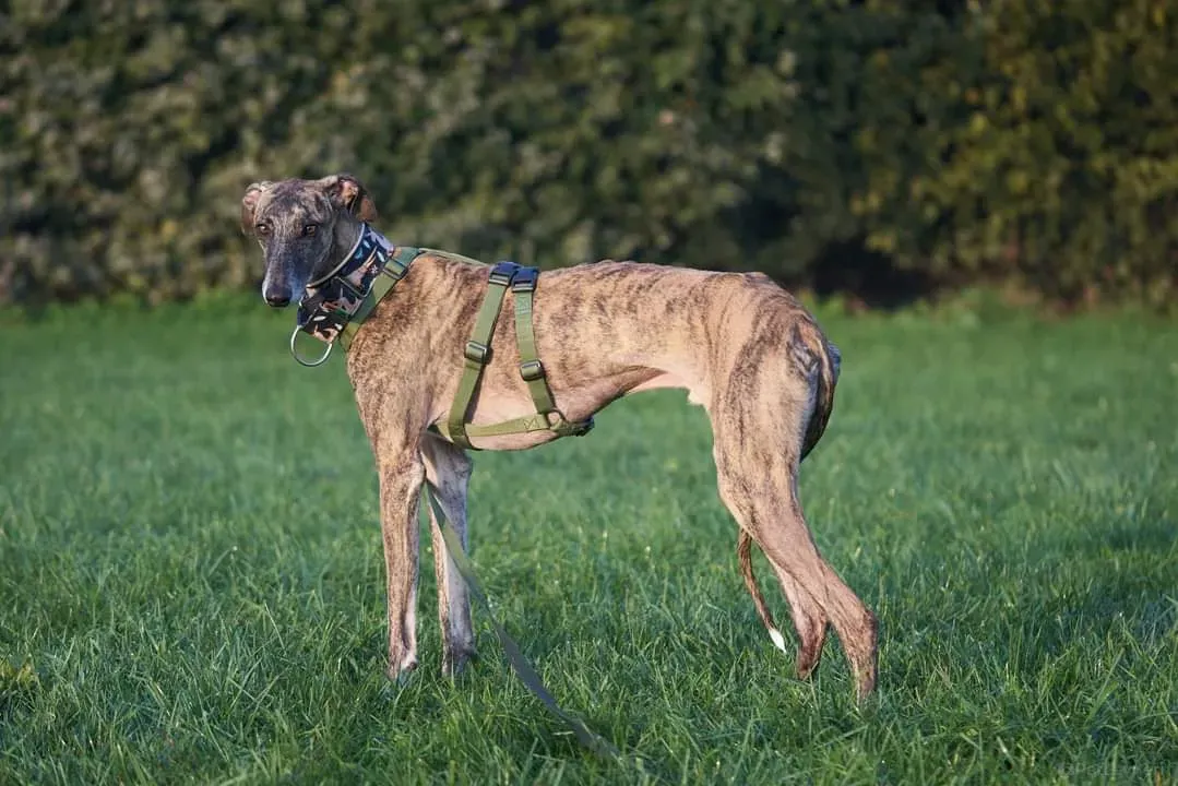 FB IMG 1634818360656